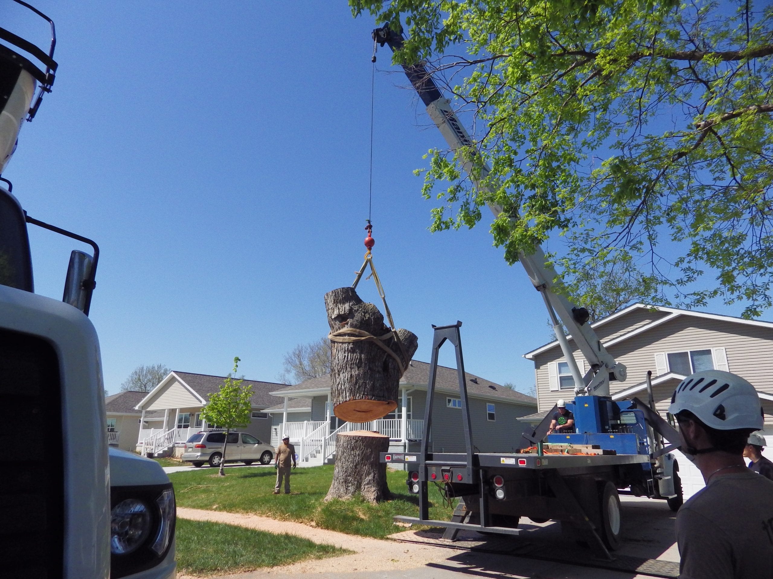The Risks of DIY Tree Removal in Omaha Omaha Tree Service