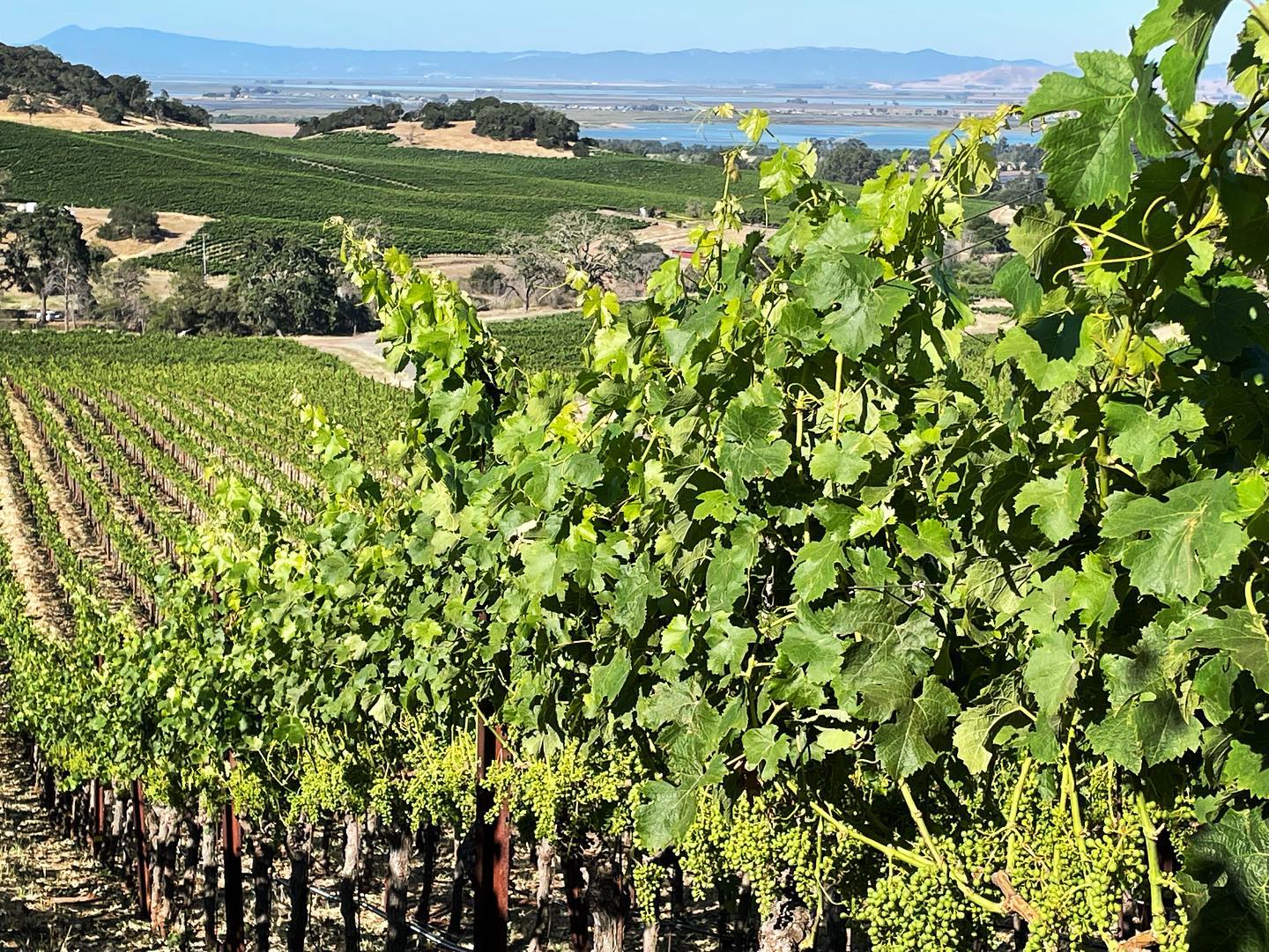 Bevan Cellars Omaha Wine Company