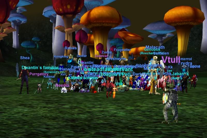 May 2011 Omani Winter Guild