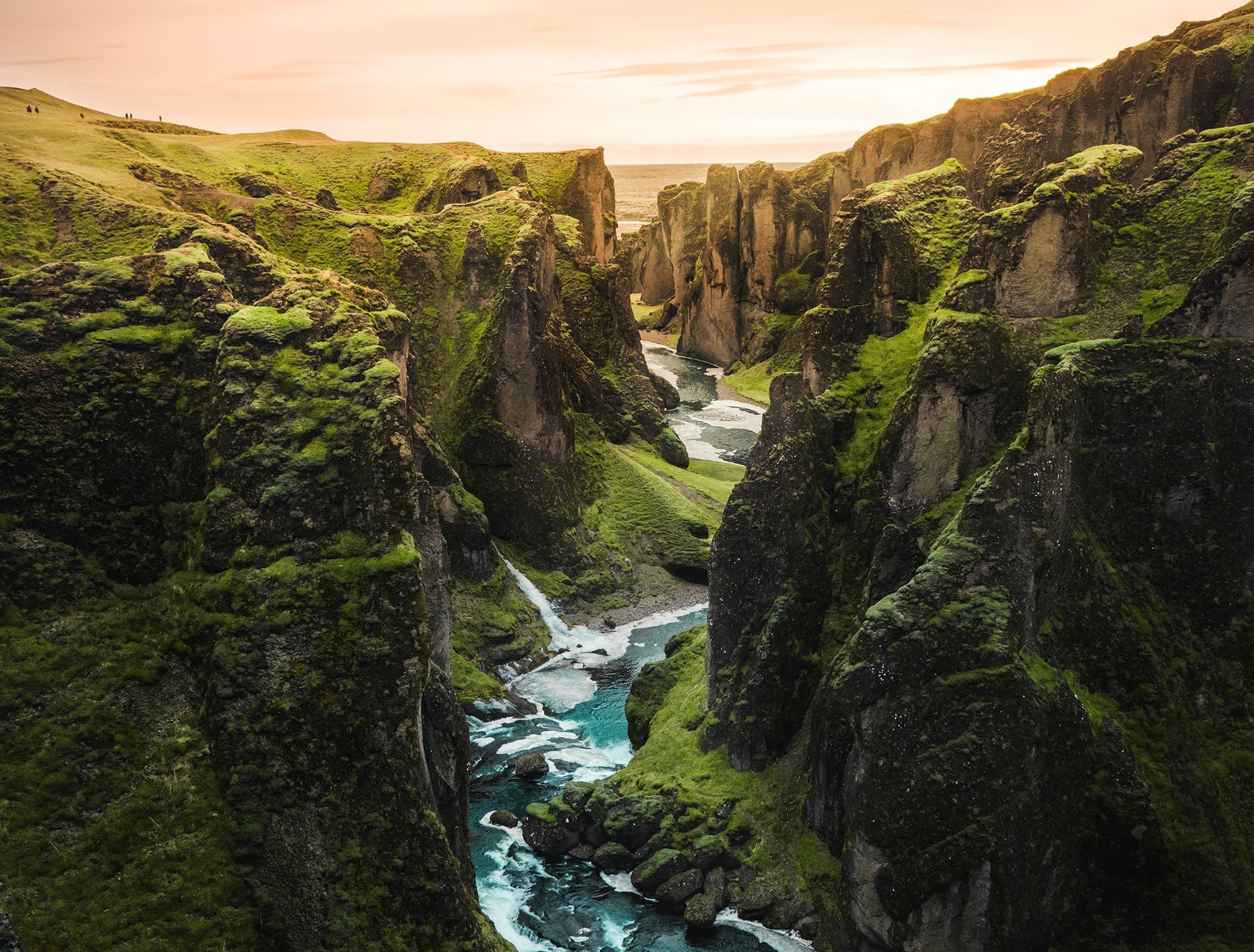 Natural Culture OMAP V