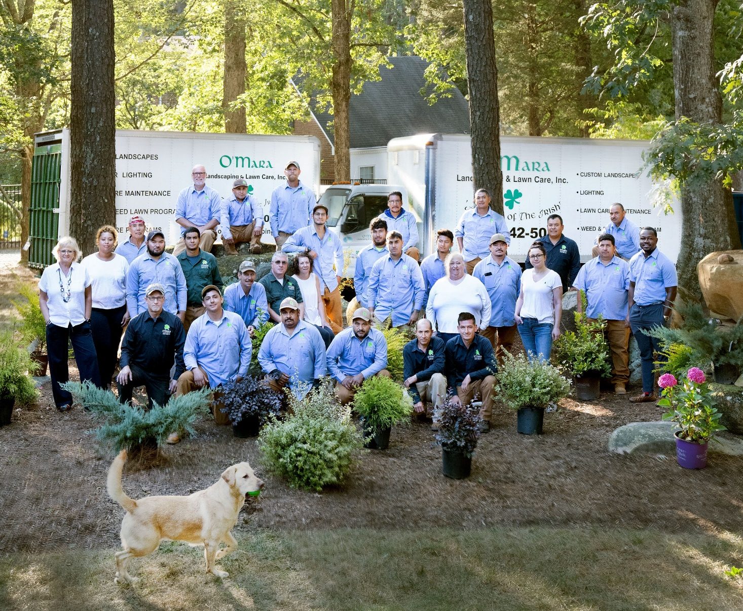 Lawn Care Services O'Mara Landscape and Lawn Care Blands NC