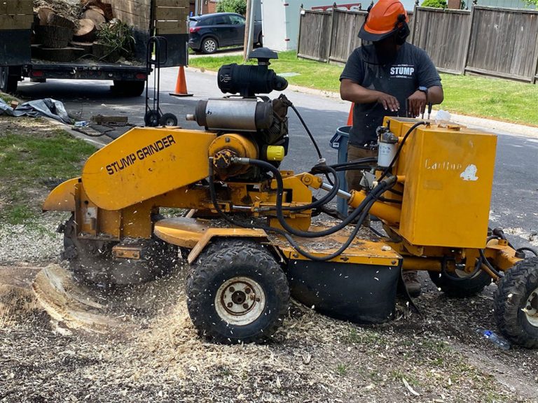 Stump Grinding Services Kansas City Omar Tree Service