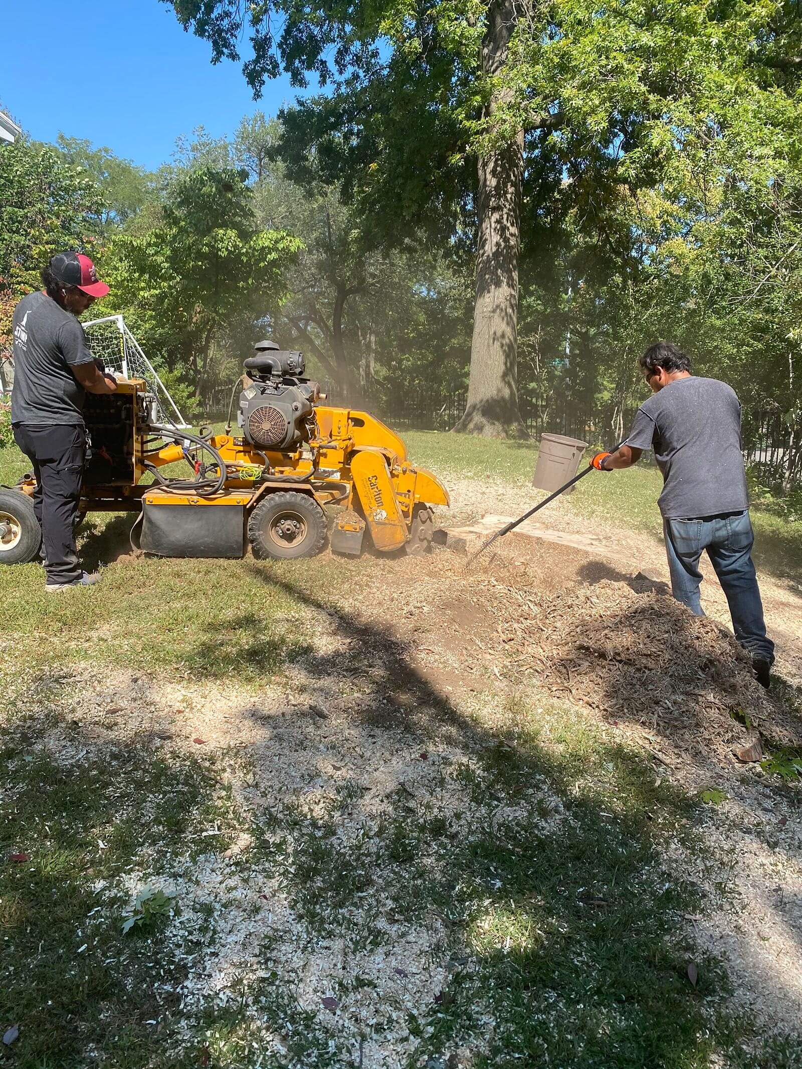 Stump Grinding Services Kansas City Omar Tree Service