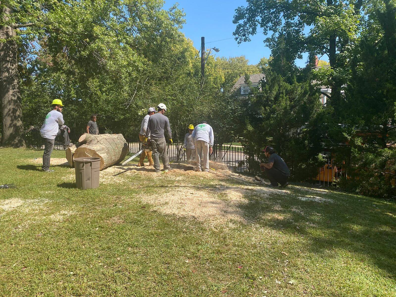 Stump Grinding Services Kansas City Omar Tree Service