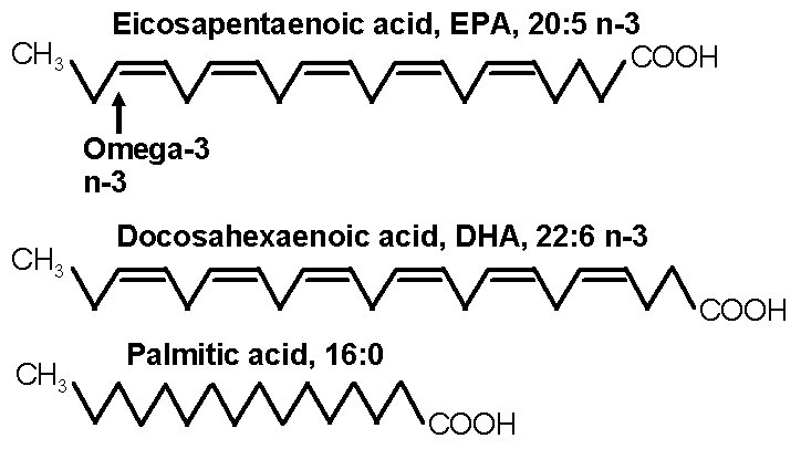 Omega3Forum EPA+DHA level and Omacor
