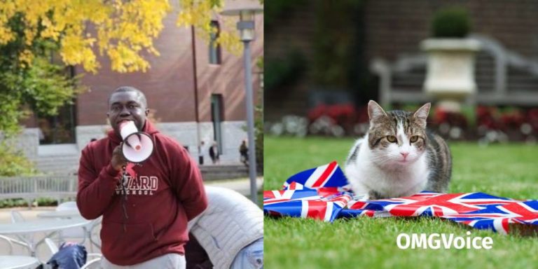 Its Better To Be A Cat In UK Than A Human Being In Ghana