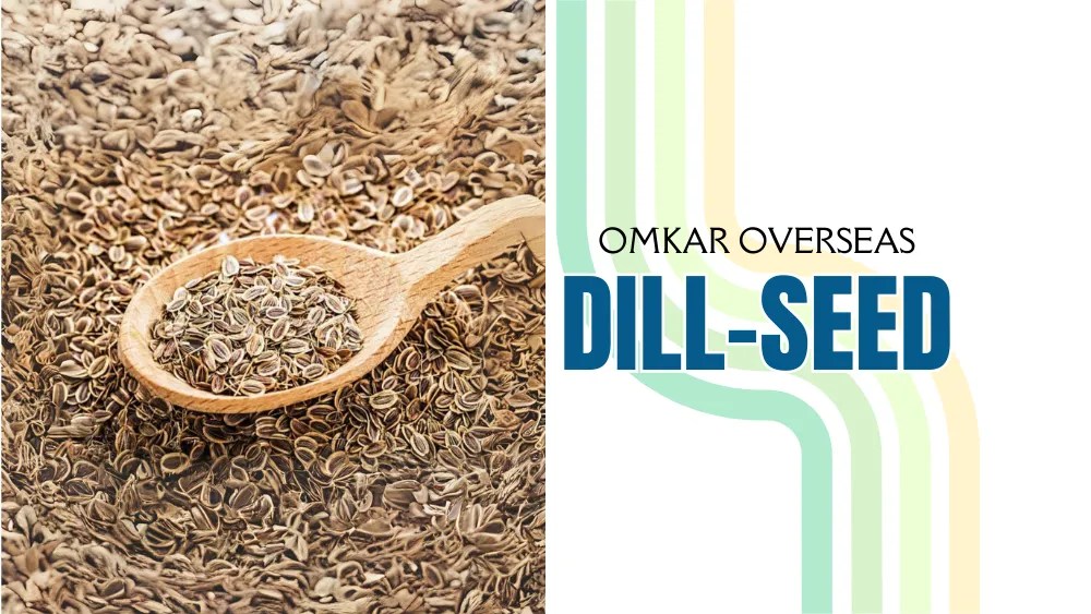 Best Quality Whole Dill Seeds » Omkar Overseas Whole Dill Seeds Bulk