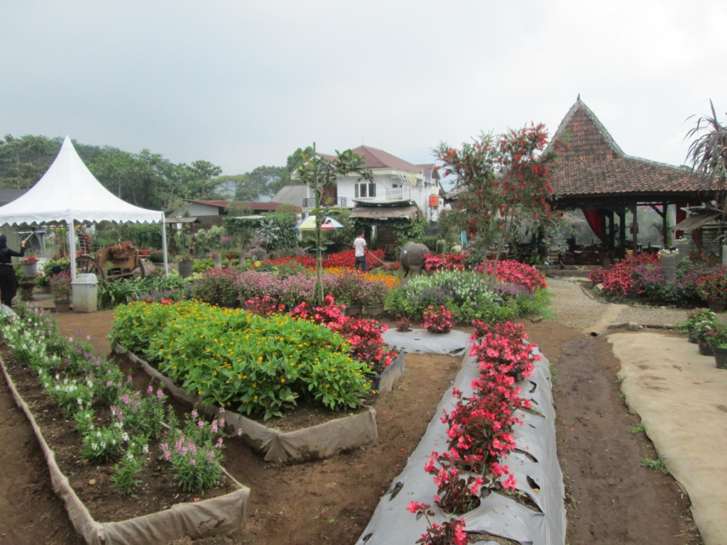 grantnsaipan Tiket Masuk Taman Begonia Agustus 2018