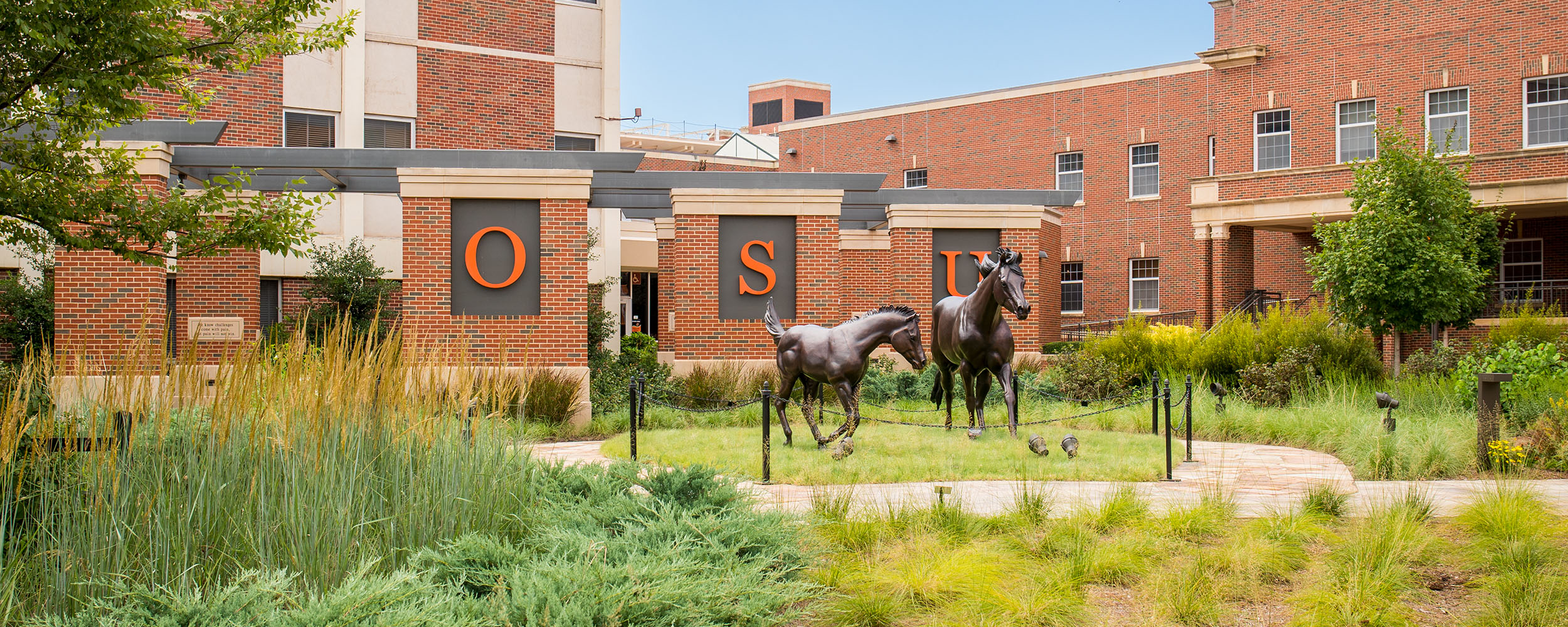 Prospective Oklahoma State University