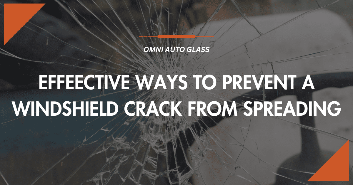 Ways to Prevent Windshield Crack from Spreading Omni Auto Glass