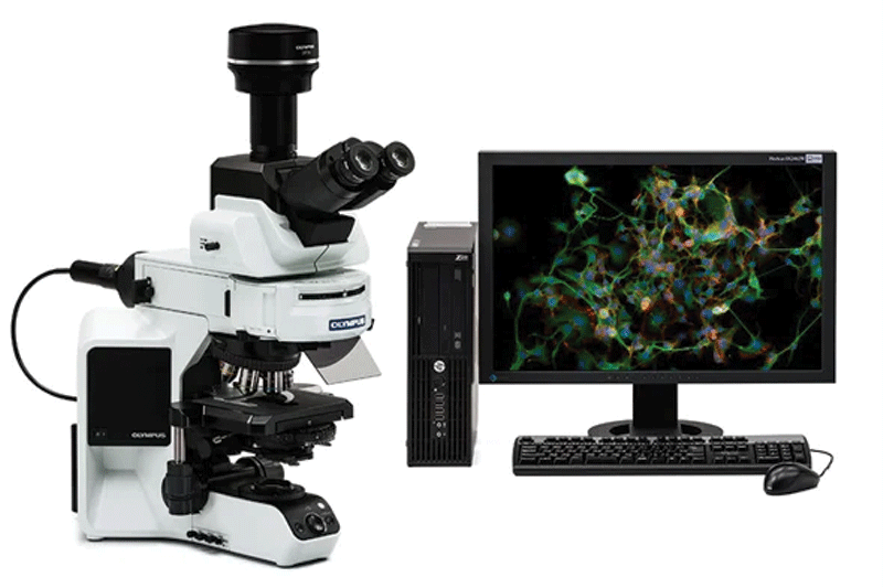DP74 MICROSCOPE DIGITAL CAMERA Omnibus BioMedical Systems Inc.