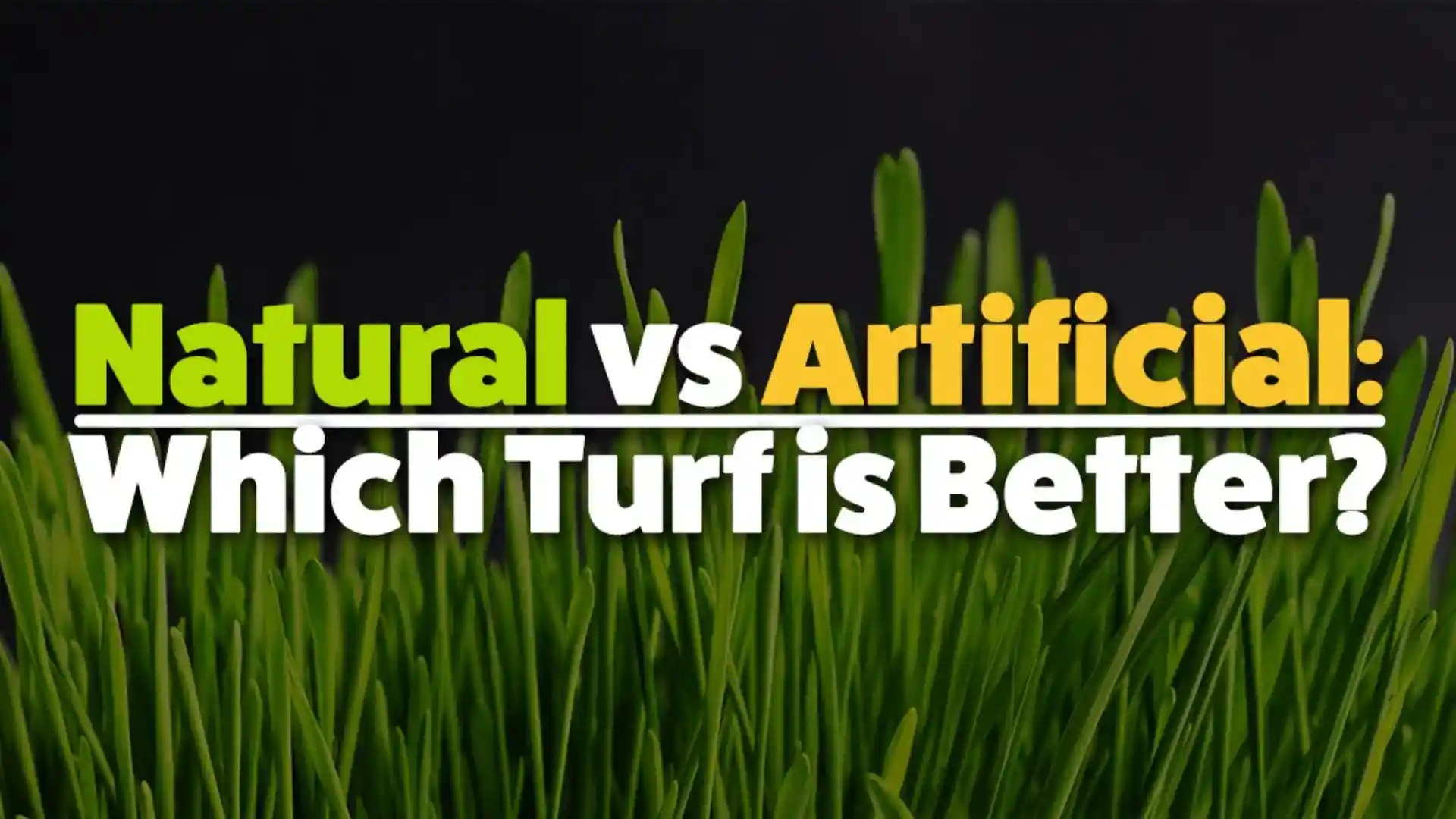 What You Need to Know about Real Grass vs Artificial Grass ? Omni Floor