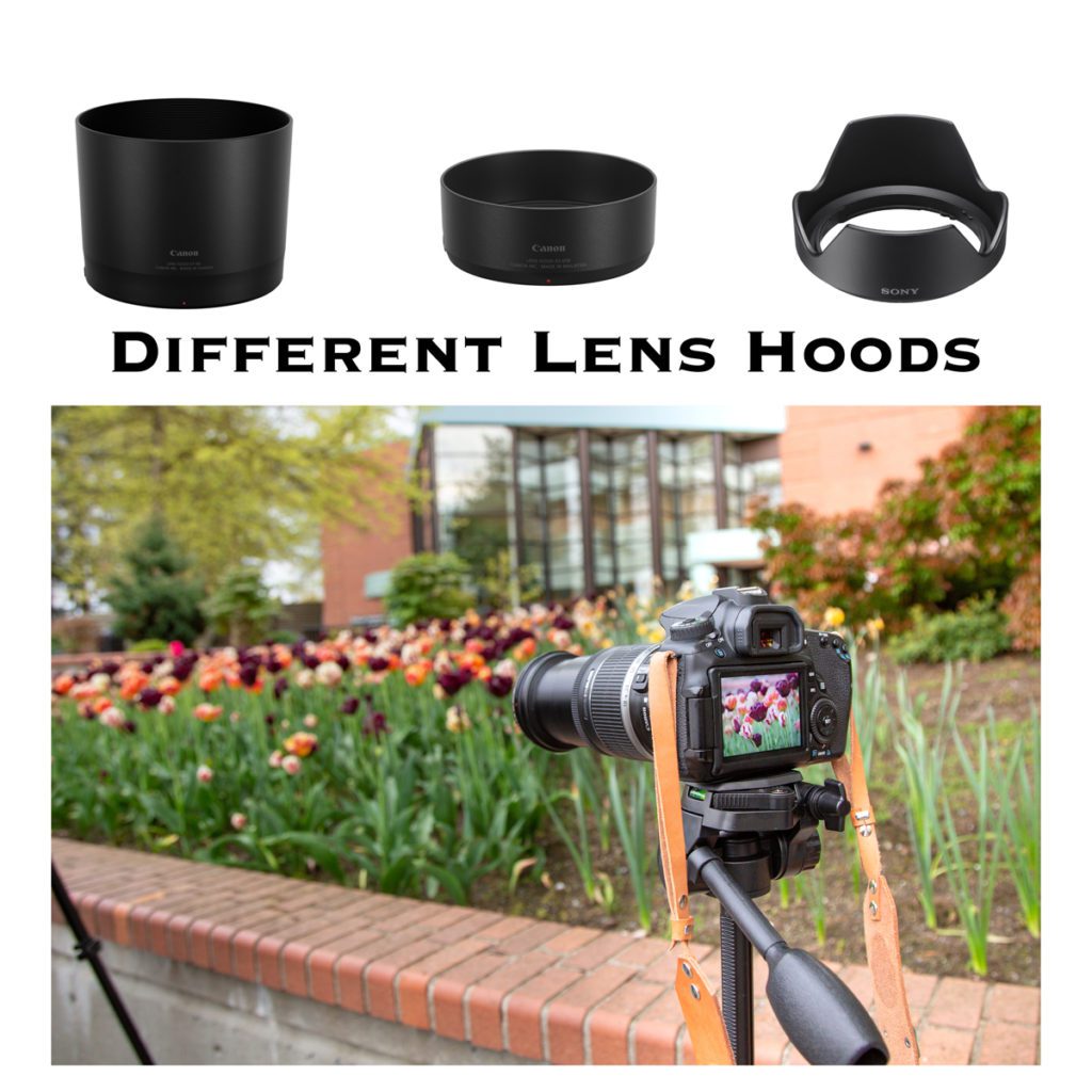 Quick Camera Tip LENS HOOD Omnilargess Photography Academy