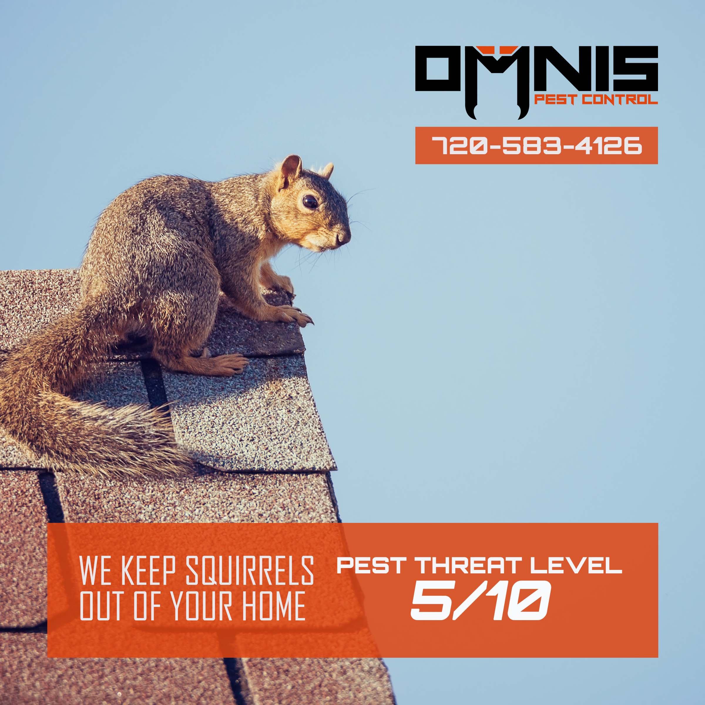 Squirrel Control OMNIS Pest Control