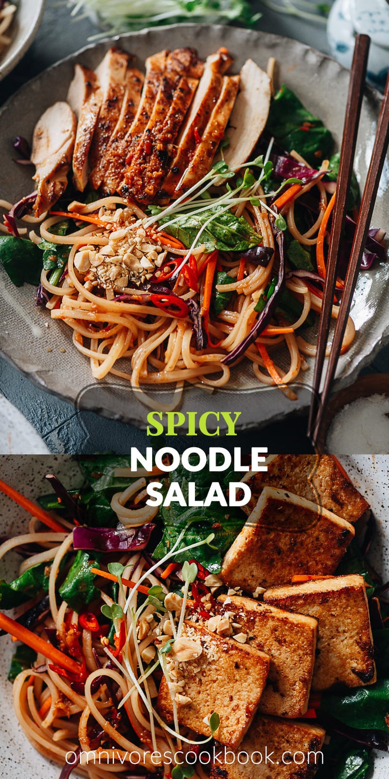 Easy Spicy Rice Noodle Salad Omnivore's Cookbook
