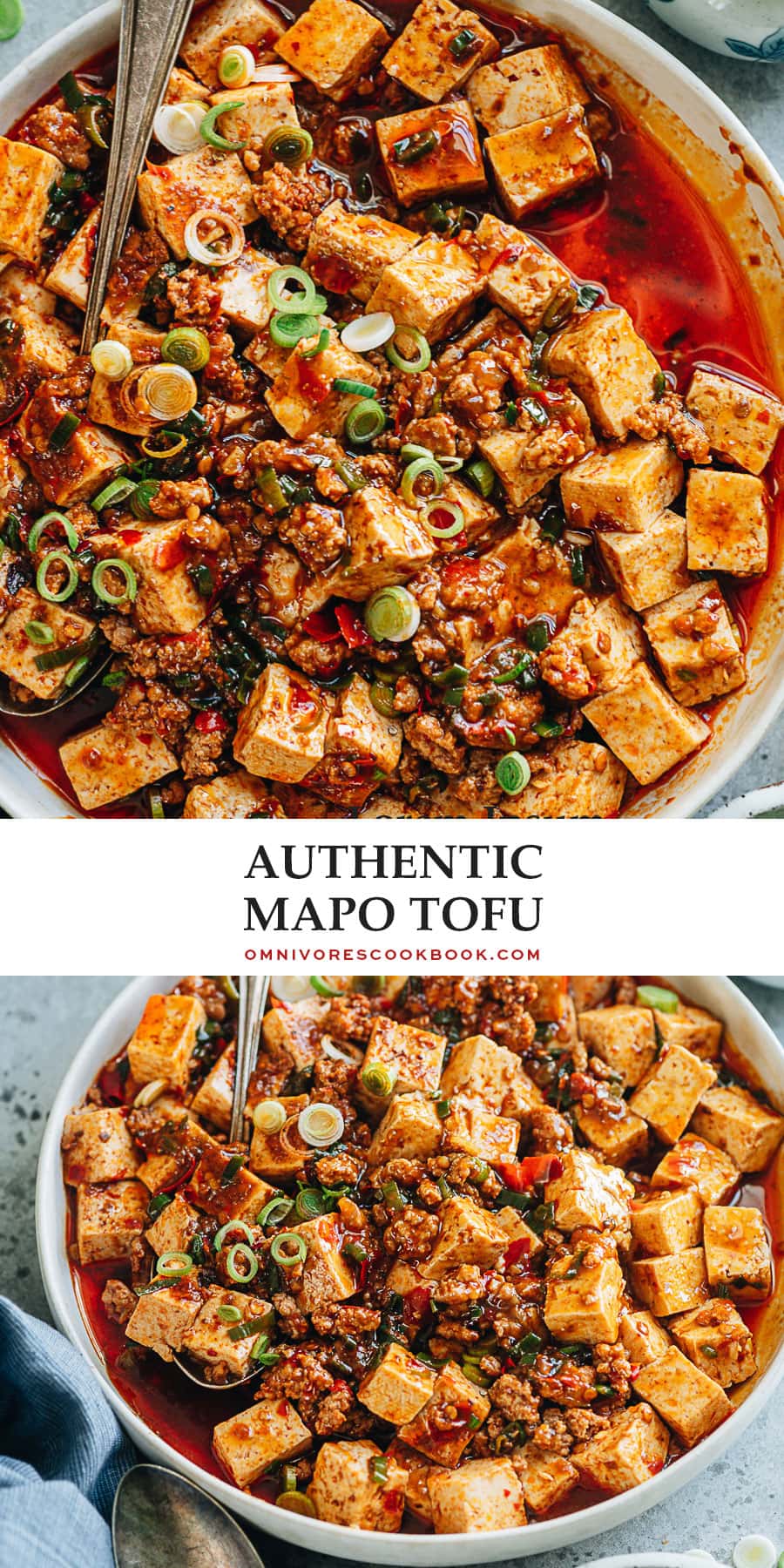 Authentic Mapo Tofu (麻婆豆腐) Omnivore's Cookbook