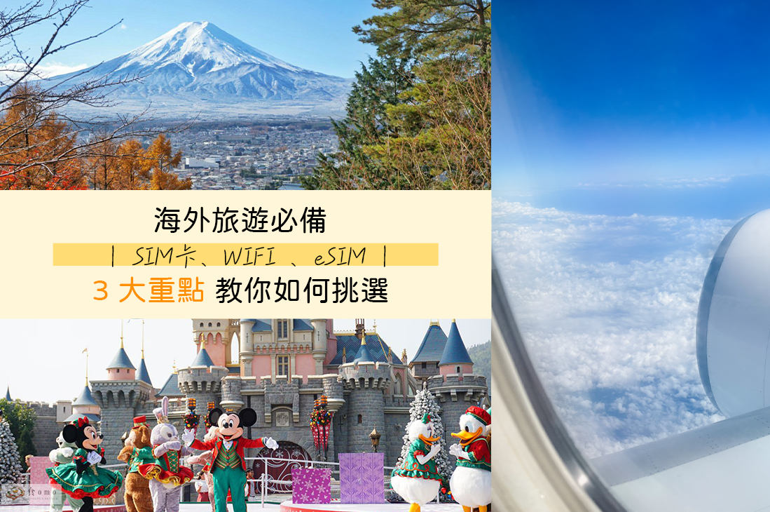 【國外旅遊 x 飛買家】出國旅遊正夯＂SIM卡 / eSim / wifi 機 ＂3大重點 這麼選