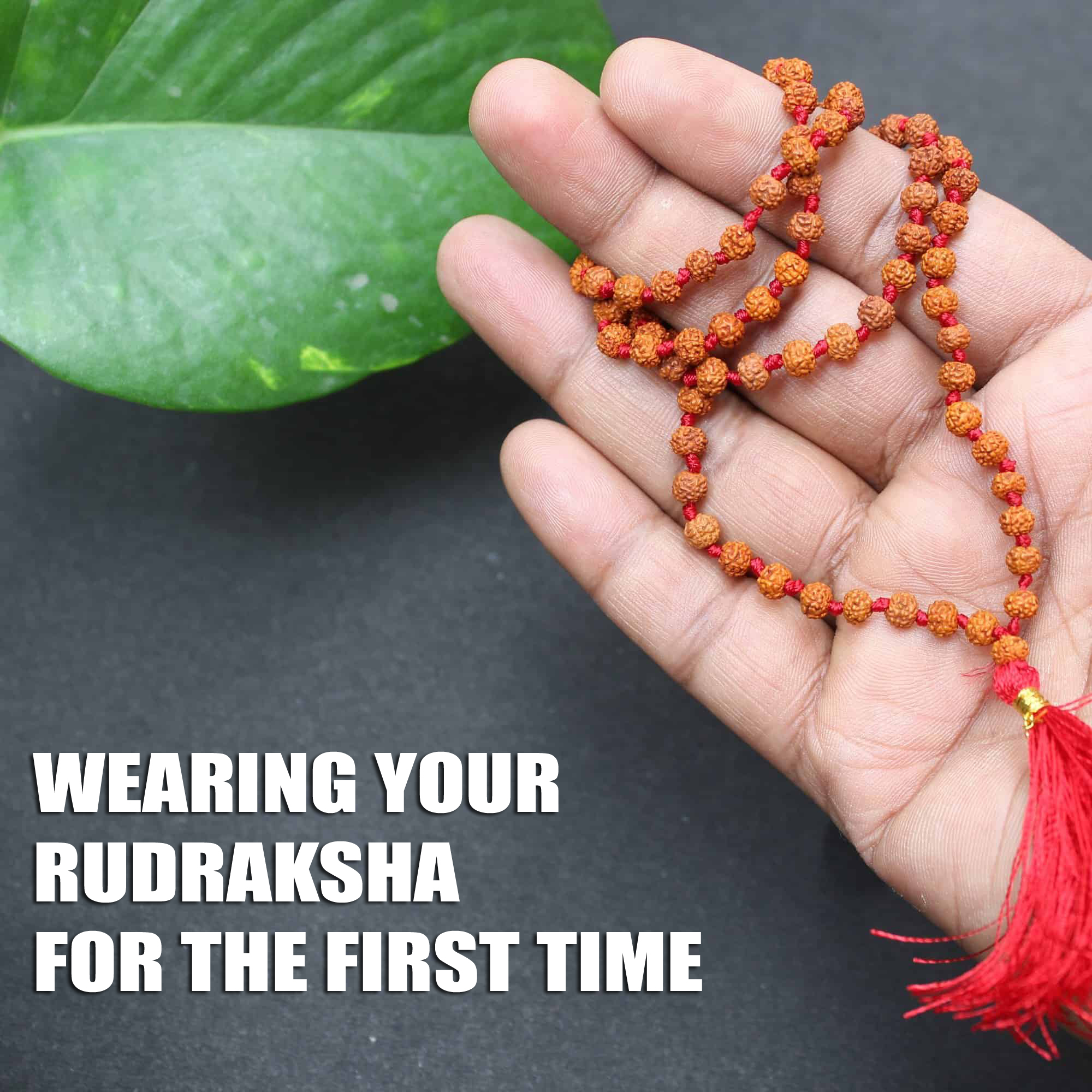 how to wear rudraksha first time Omrudraksha