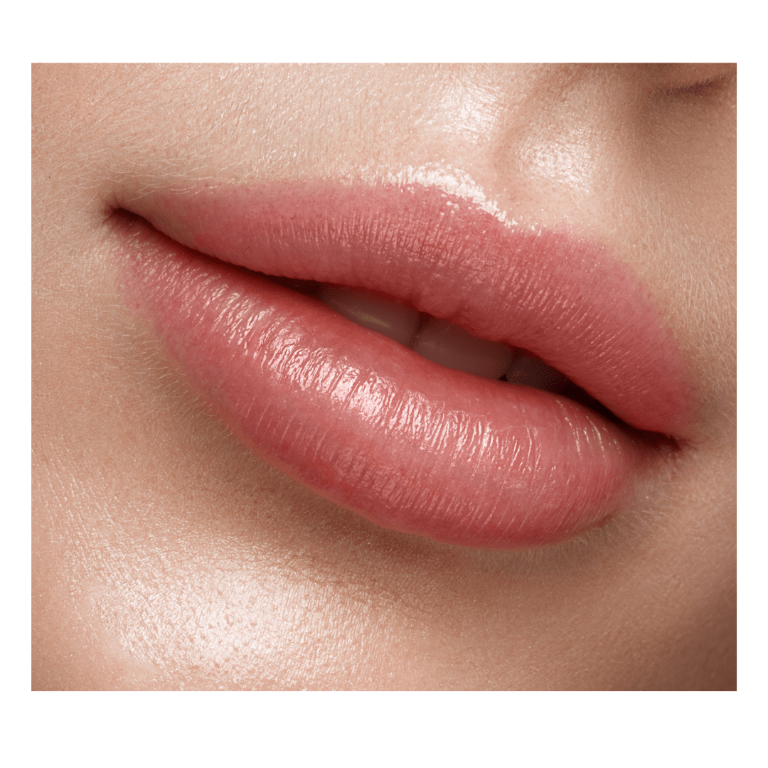 Advanced Lip Blushing 1 Day course OM SPA Microblading Academy Chicago Microblading Training