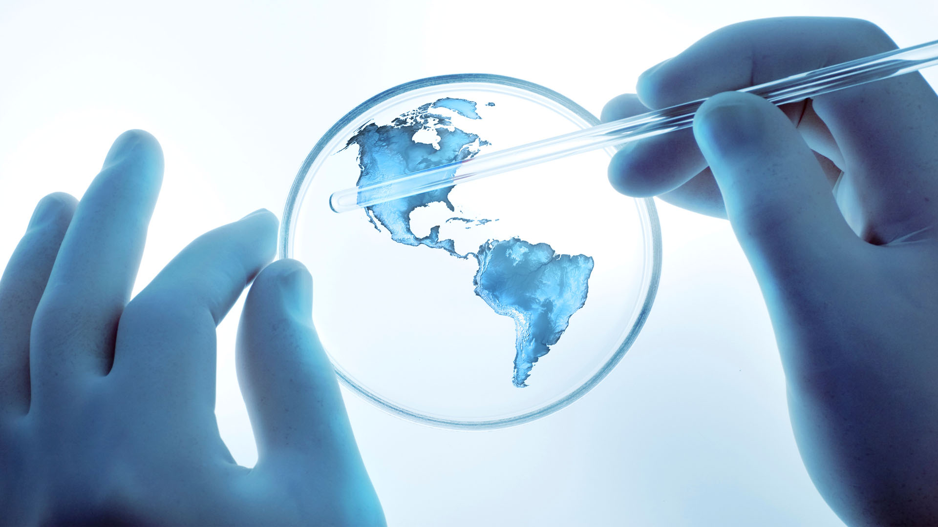 Industry Spotlight healthcare and pharma ON THE MARK