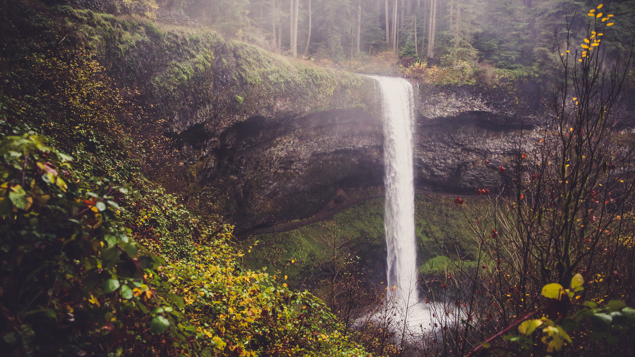 Natural Light Photography Tips & Tricks Learn the Best Practices for Using Natural Light in