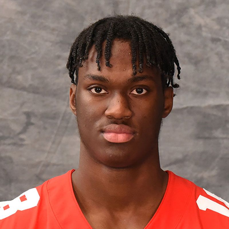 Marvin Harrison Jr. Ohio State Buckeyes WR