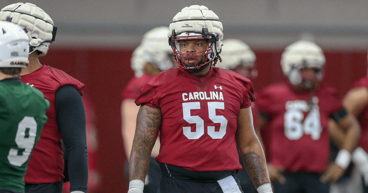 Who's gone, who's coming back on South Carolina's offensive line