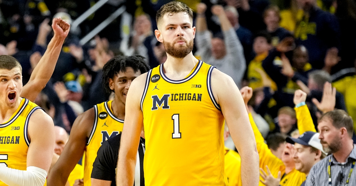 Michigan center Hunter Dickinson on future 'It's a tough decision'