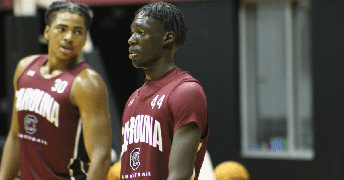 South Carolina basketball preseason profiles Morris Ugusuk On3