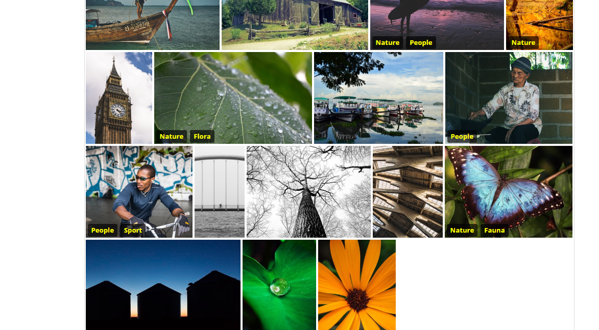 12+ Awesome React Photo Gallery Components OnAirCode