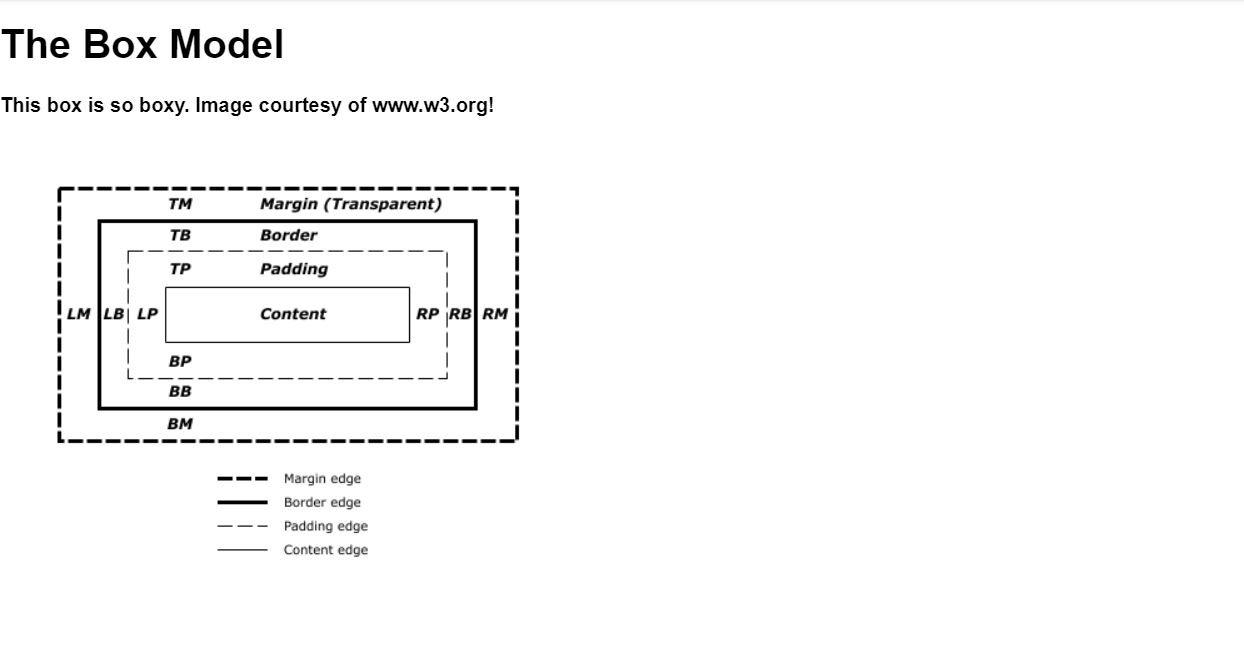 15+ CSS Box Model Examples with Code Snippet OnAirCode