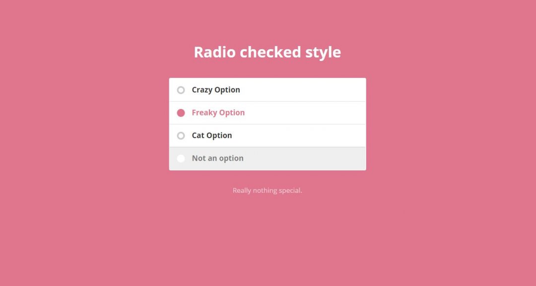 25+ Radio Button CSS Styles Examples OnAirCode