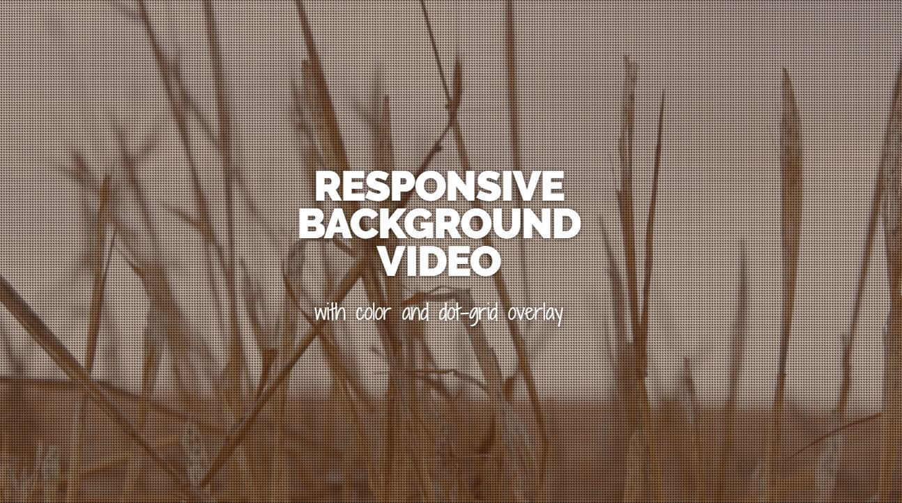 HTML5 responsive background video