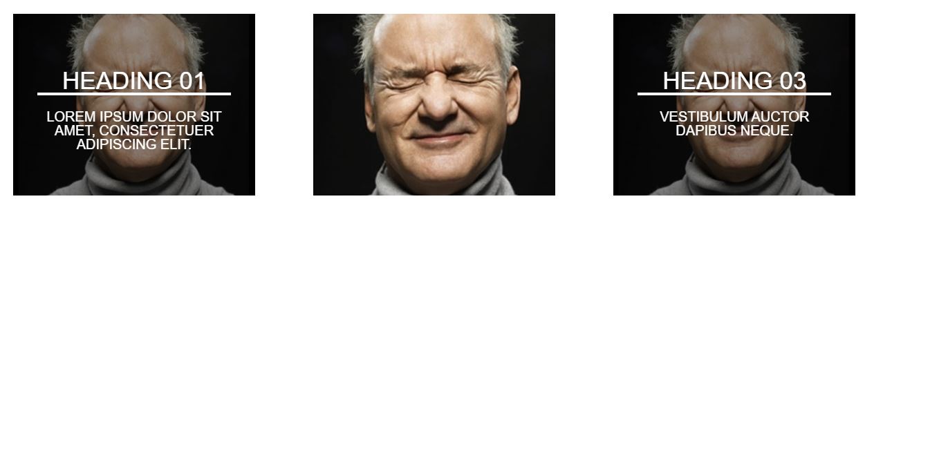 15+ Bootstrap Image Zoom Effect Examples OnAirCode