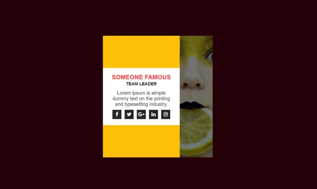 13+ Bootstrap Card Hover Effects Examples OnAirCode