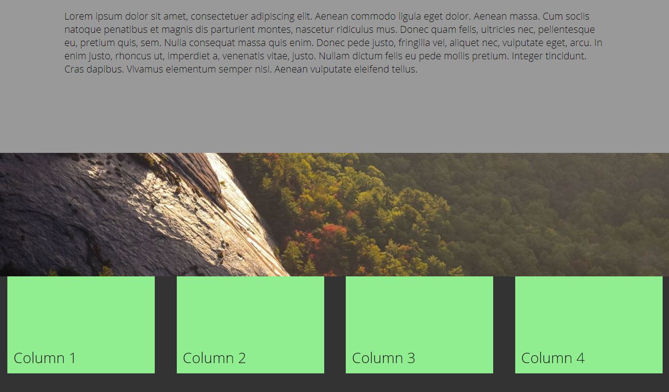 Hidden Website Header AndFooter 