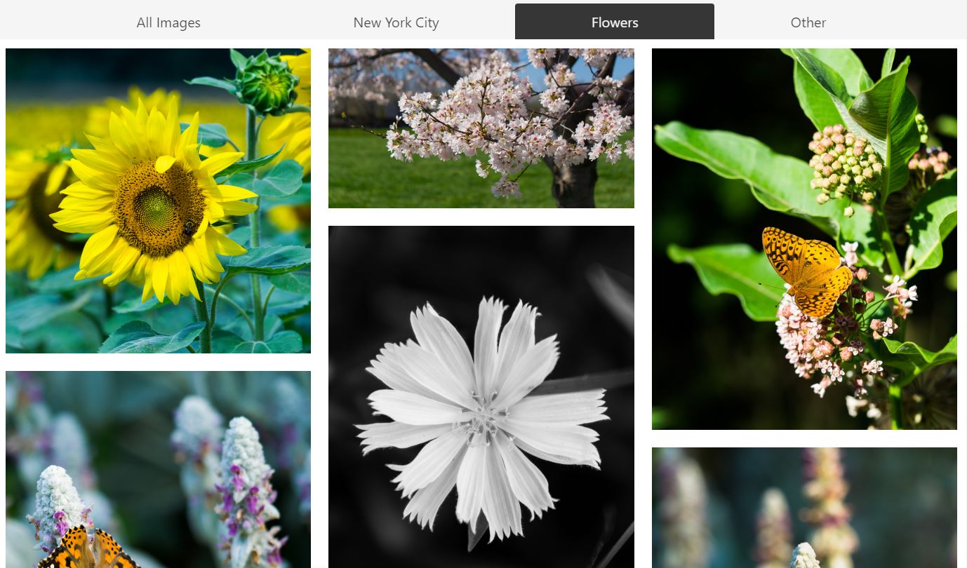 MasonryGrid Layout with Filtering JavaScript
