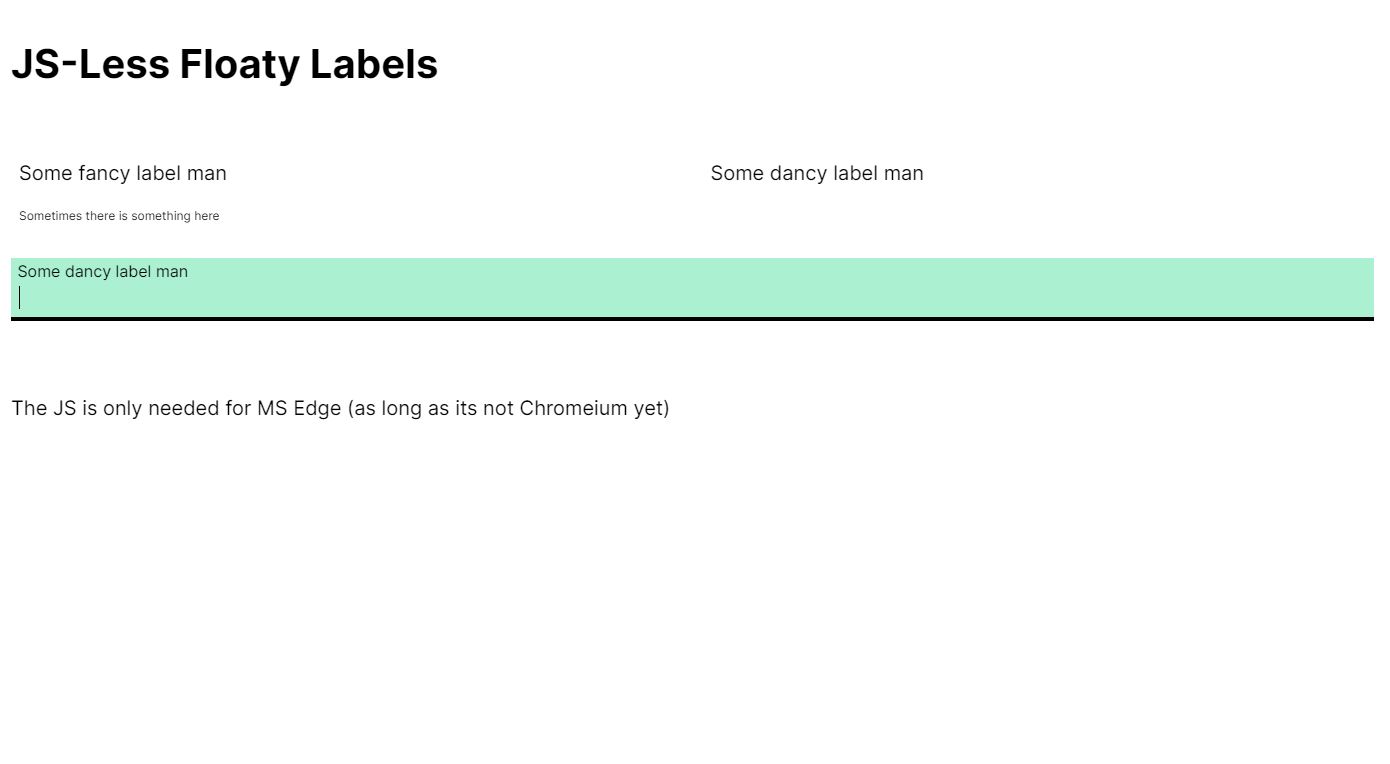 Simple JS And CSS Floating Input Label 