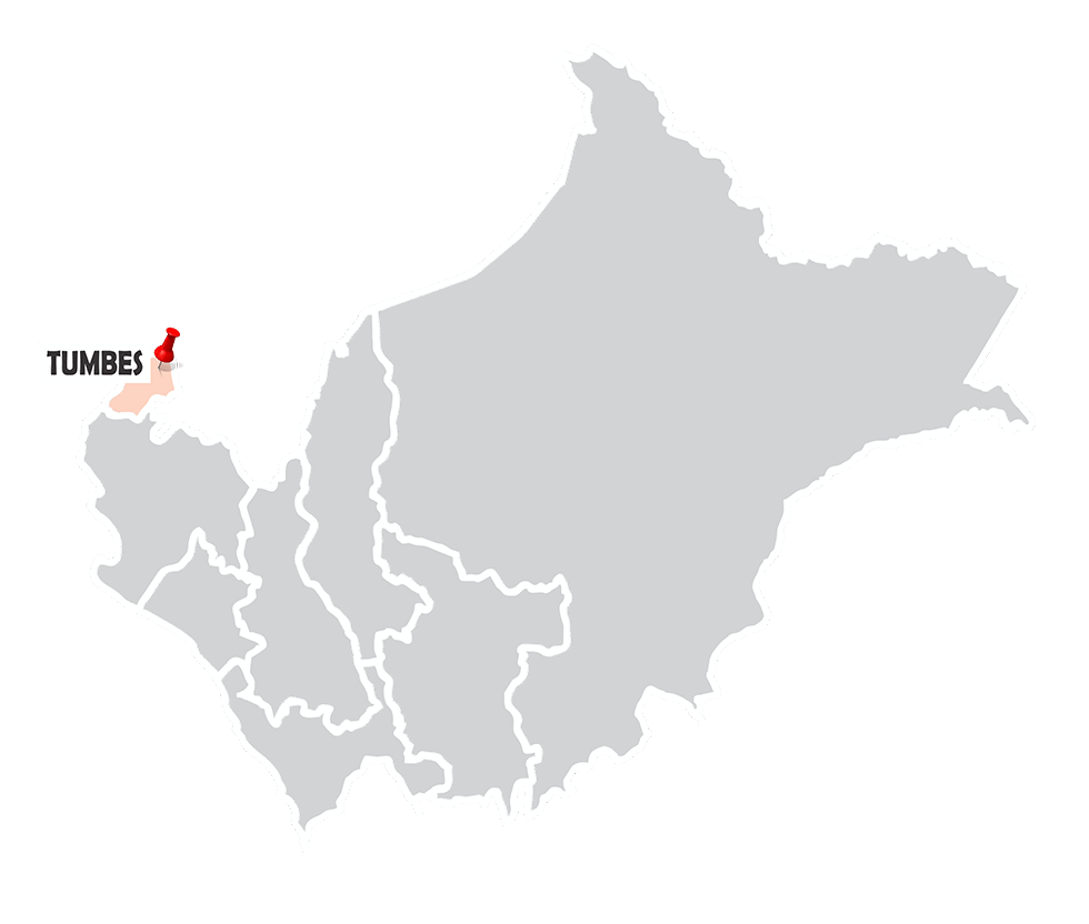 Tumbes ONA Perú