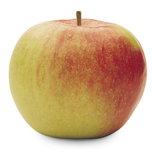 Ontario Apple Varieties Types of Apples OAG