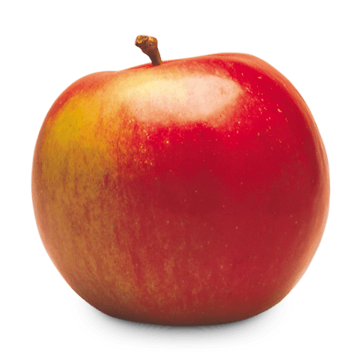 Ontario Apple Varieties Types of Apples OAG