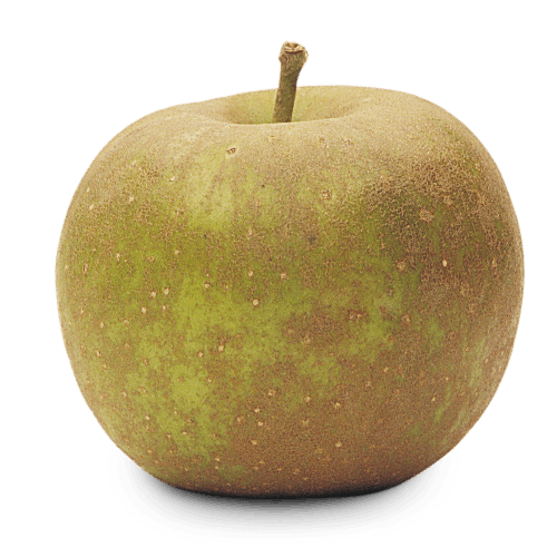 Ontario Apple Growers