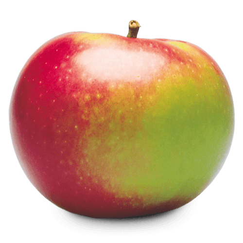 Ontario Apple Varieties Types of Apples OAG