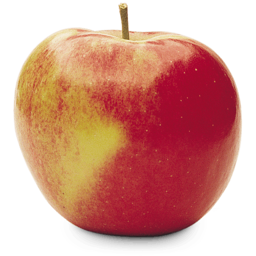 Ontario Apple Varieties Types of Apples OAG