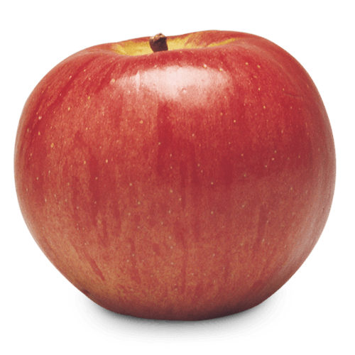 Ontario Apple Growers