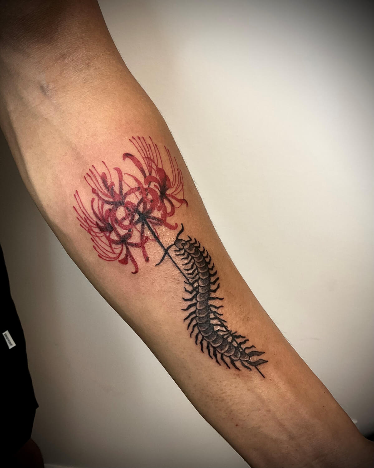 Gallery Once Piercing and Beauty, Edmonton's finest piercing and