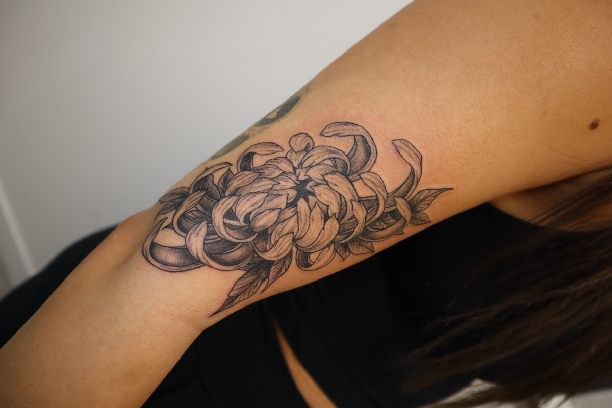 Gallery Once Piercing and Beauty, Edmonton's finest piercing and