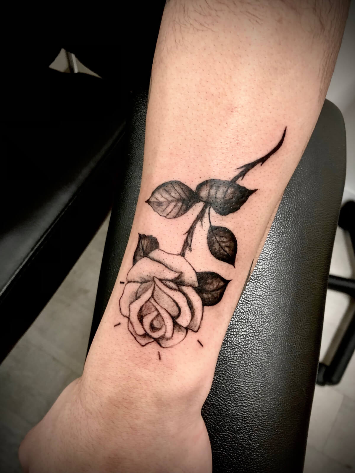 Gallery Once Piercing and Beauty, Edmonton's finest piercing and