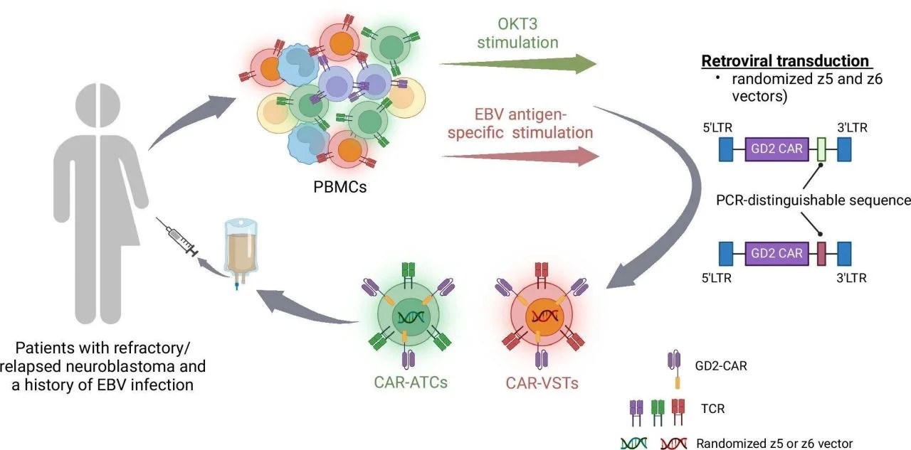 Sandra McGuigan An extraordinary 18 years of remission from