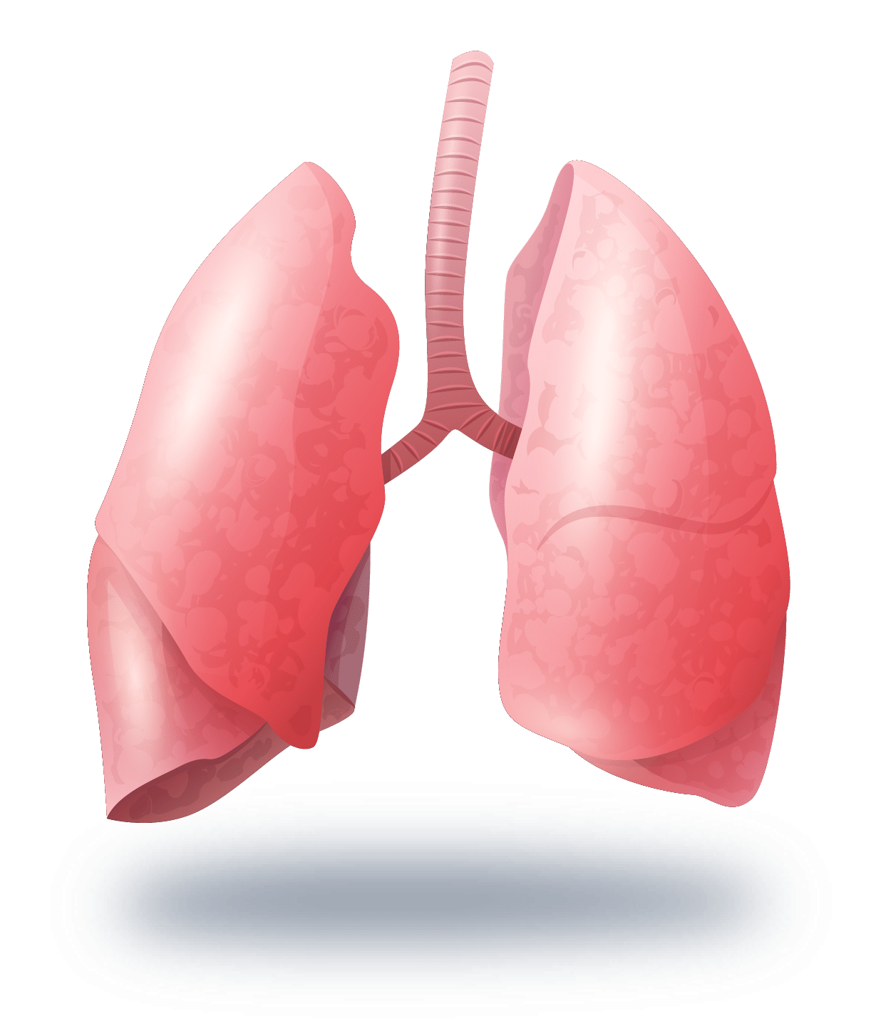 OncoDEEP Advanced lung cancer treatment and diagnosis